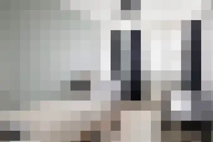 Voorstag 12 Klazienaveen thumbnail 19
