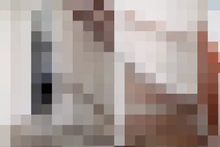 Voorstag 12 Klazienaveen thumbnail 27