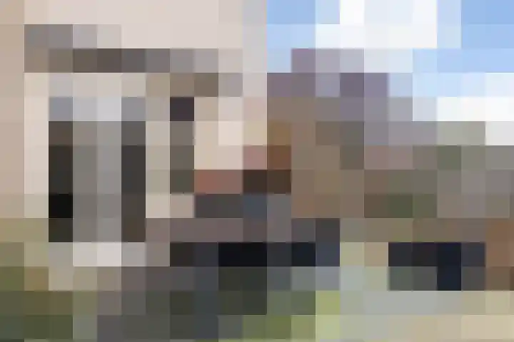 Voorstag 12 Klazienaveen thumbnail 30