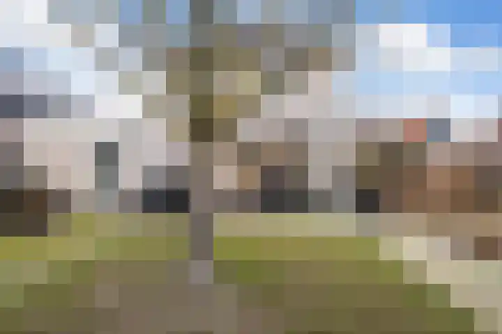 Voorstag 12 Klazienaveen thumbnail 31