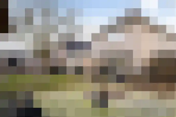 Voorstag 12 Klazienaveen thumbnail 32