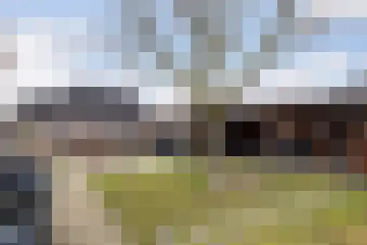 Voorstag 12 Klazienaveen thumbnail 34