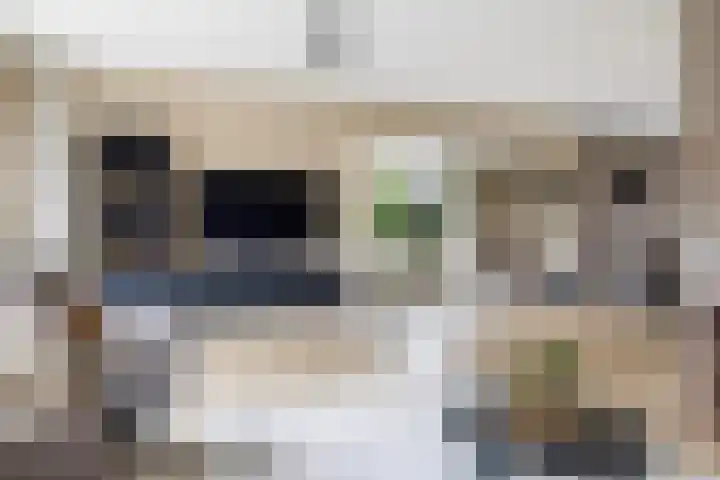Voorstag 12 Klazienaveen thumbnail 7