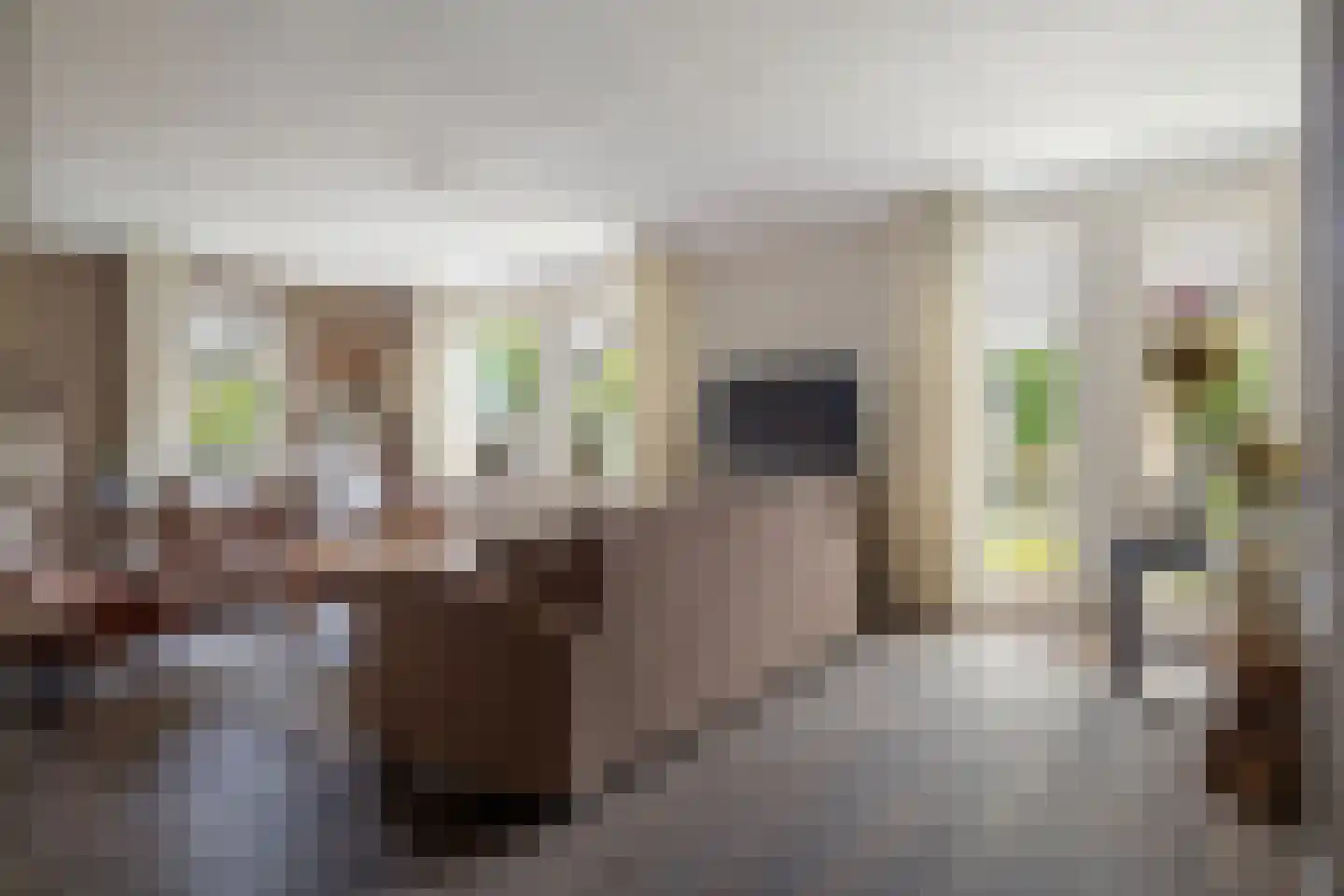 Voorstag 3 Klazienaveen thumbnail 10