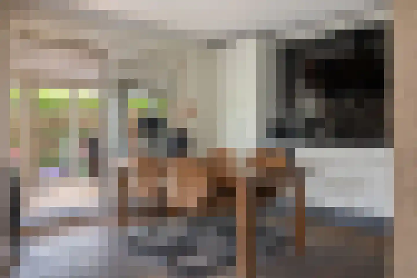 Voorstag 3 Klazienaveen thumbnail 15