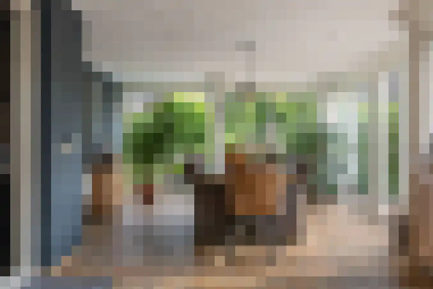 Voorstag 3 Klazienaveen thumbnail 19