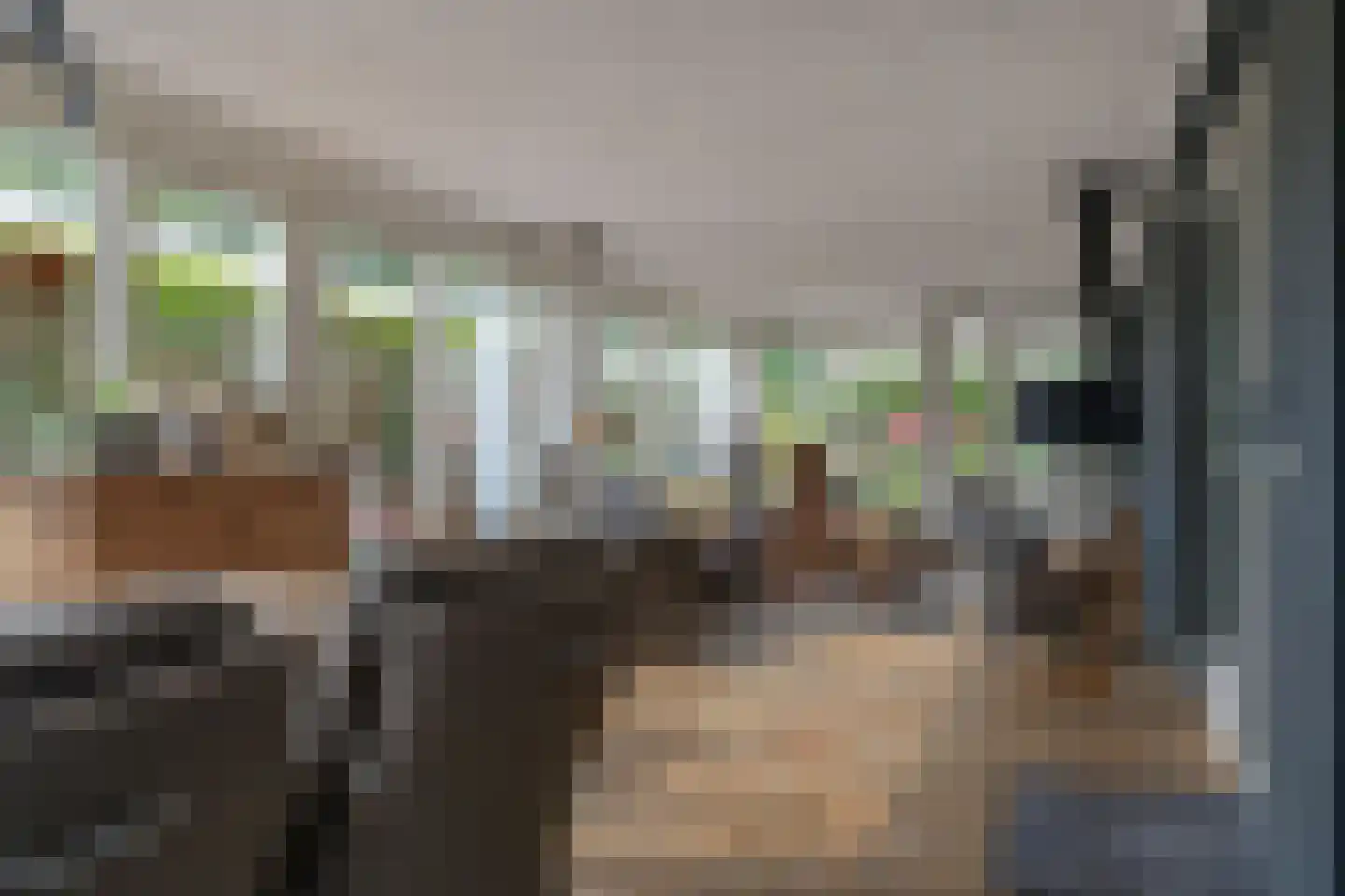 Voorstag 3 Klazienaveen thumbnail 20