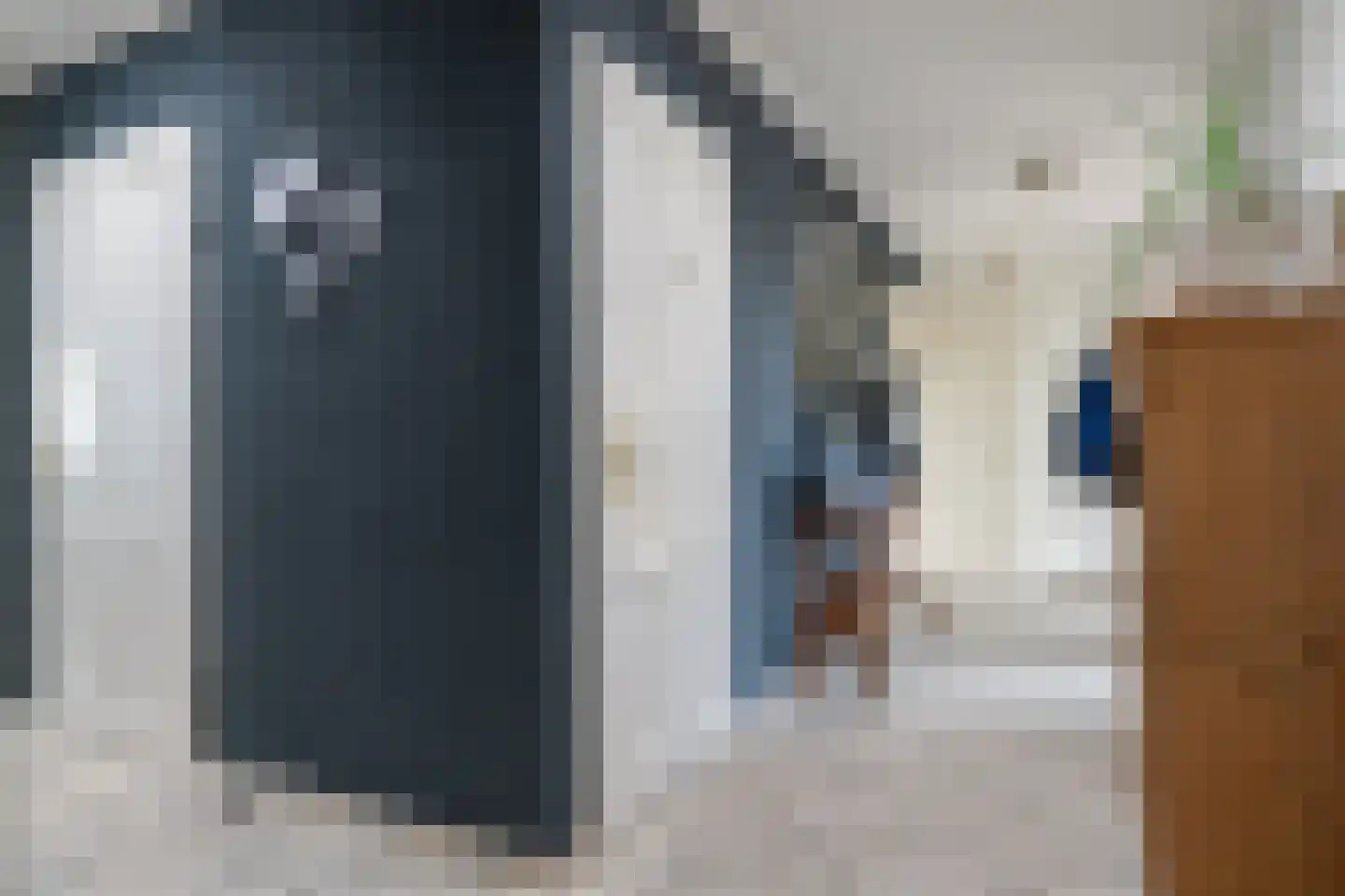 Voorstag 3 Klazienaveen thumbnail 24