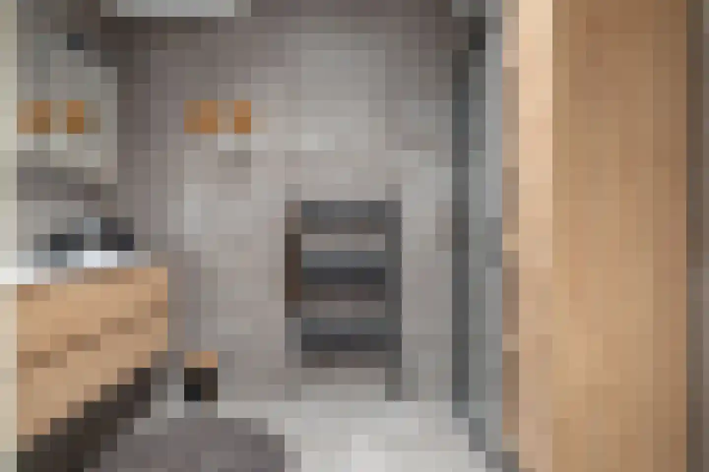 Voorstag 3 Klazienaveen thumbnail 25