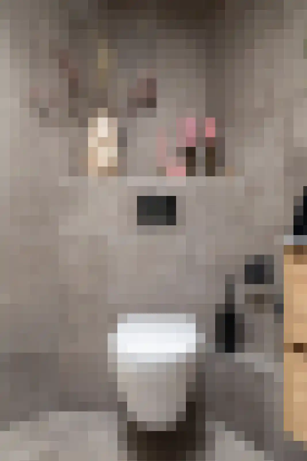 Voorstag 3 Klazienaveen thumbnail 27