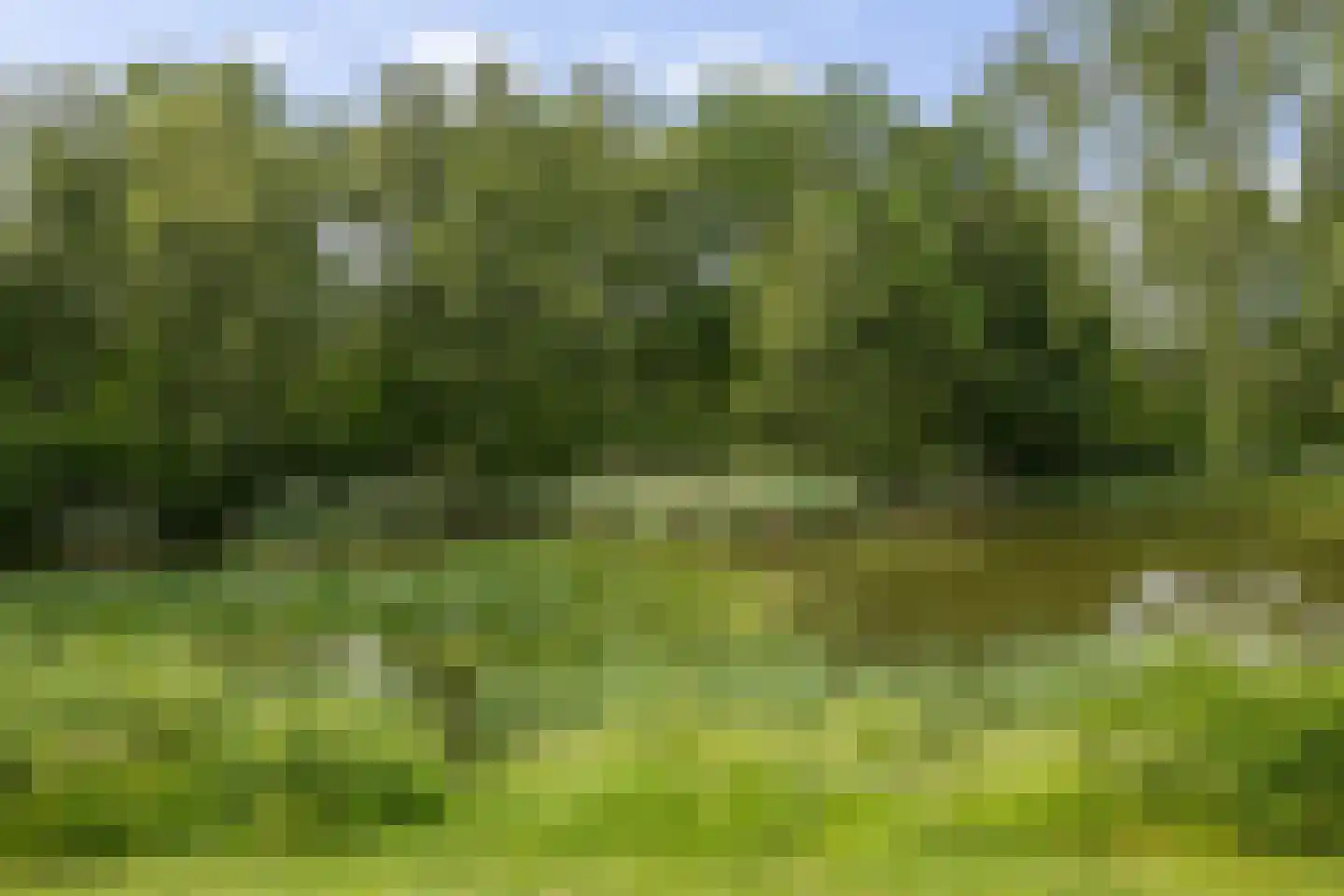 Voorstag 3 Klazienaveen thumbnail 40