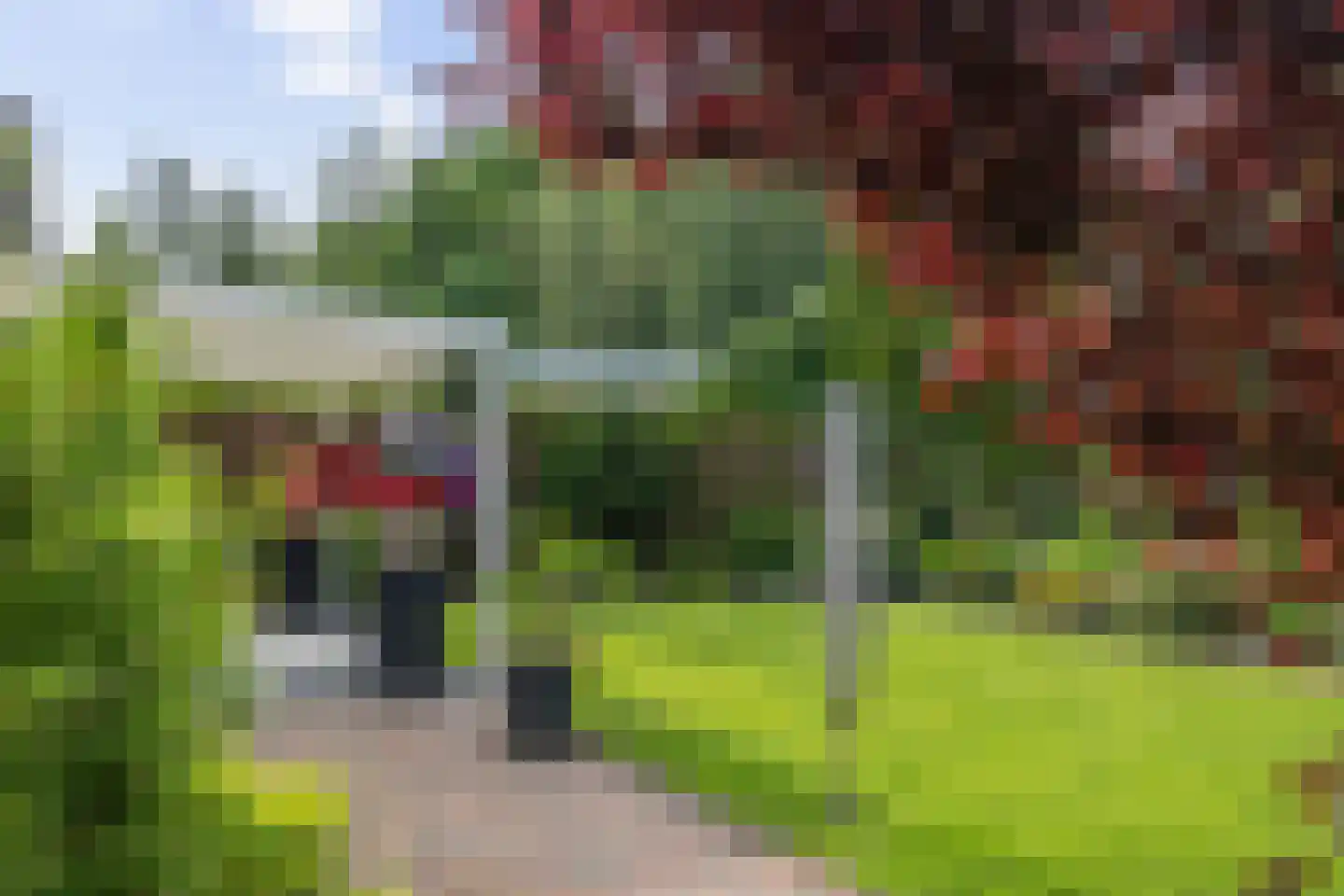 Voorstag 3 Klazienaveen thumbnail 43