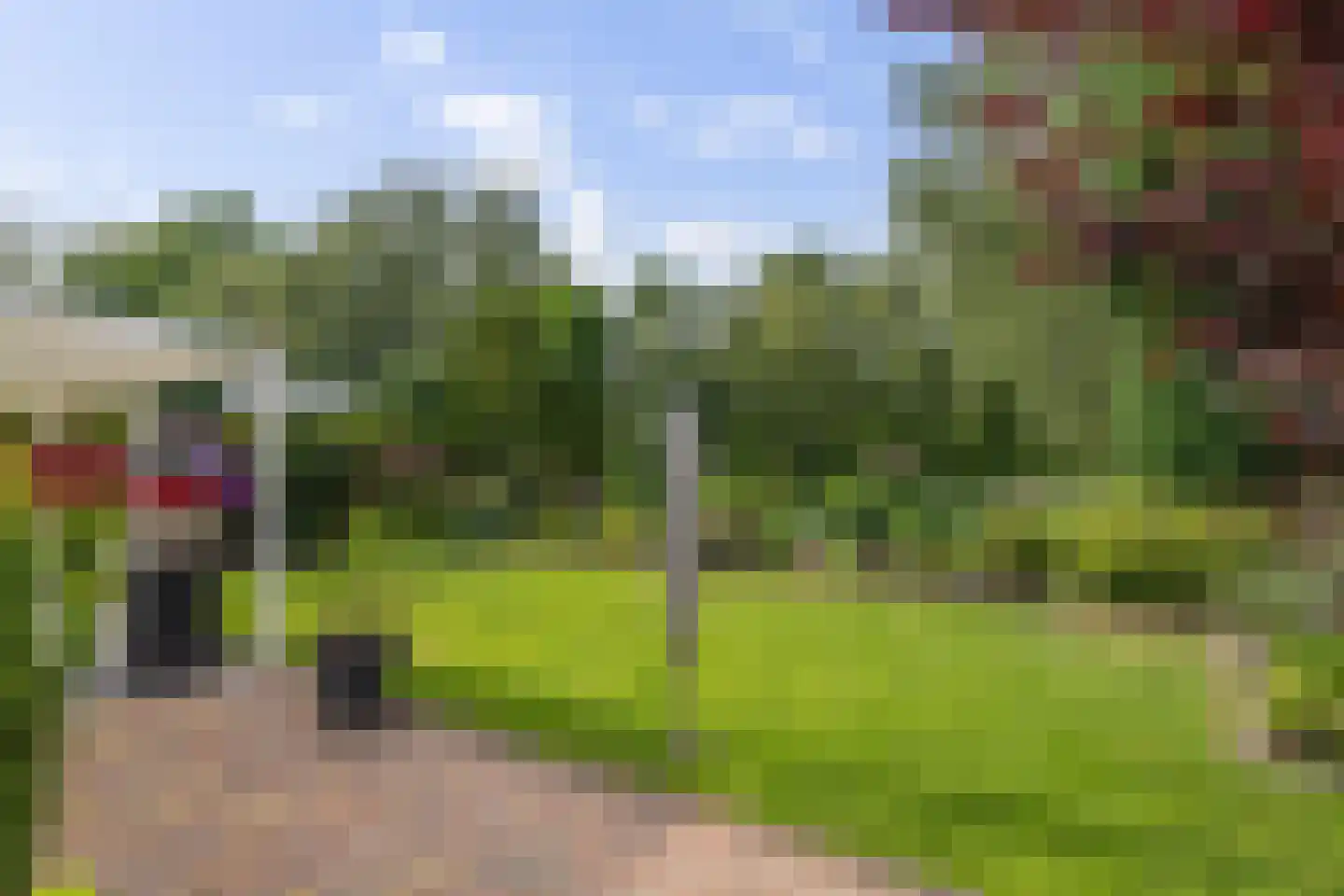 Voorstag 3 Klazienaveen thumbnail 44