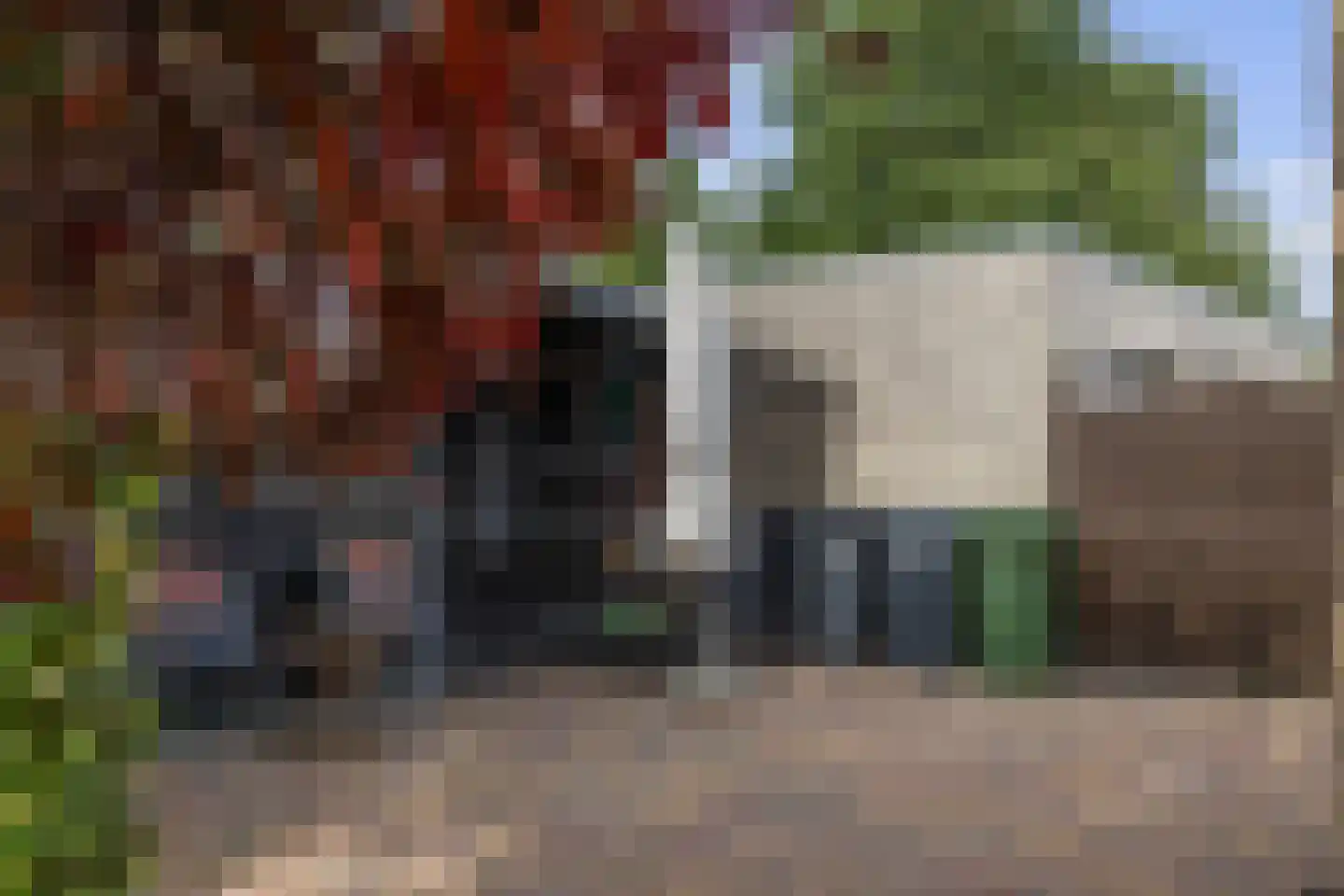 Voorstag 3 Klazienaveen thumbnail 45