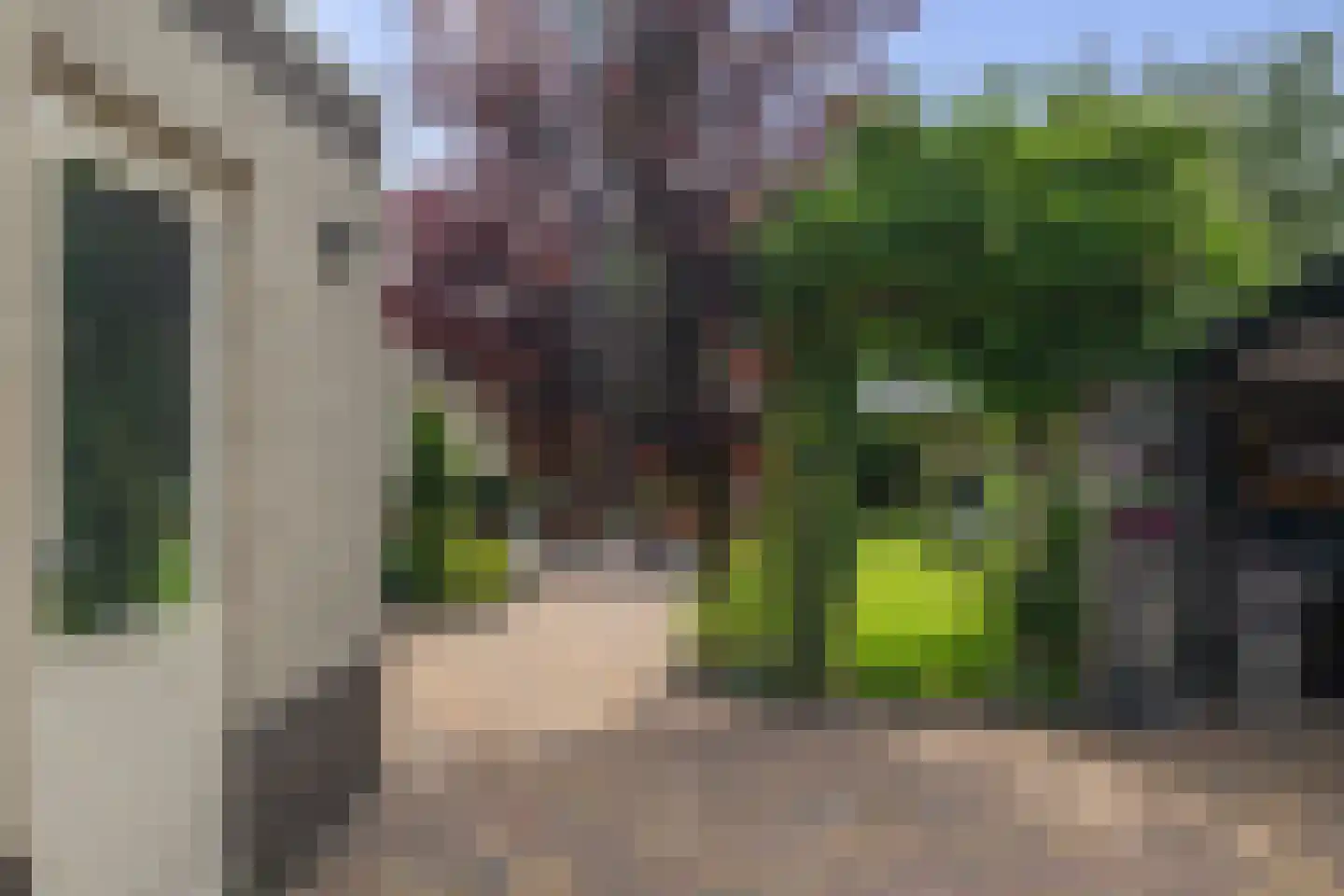 Voorstag 3 Klazienaveen thumbnail 46