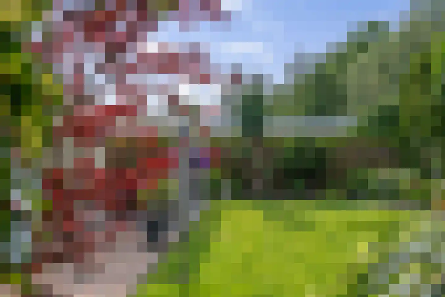 Voorstag 3 Klazienaveen thumbnail 47