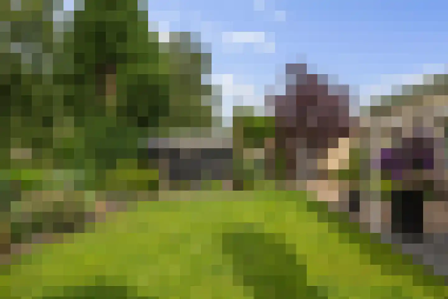 Voorstag 3 Klazienaveen thumbnail 48