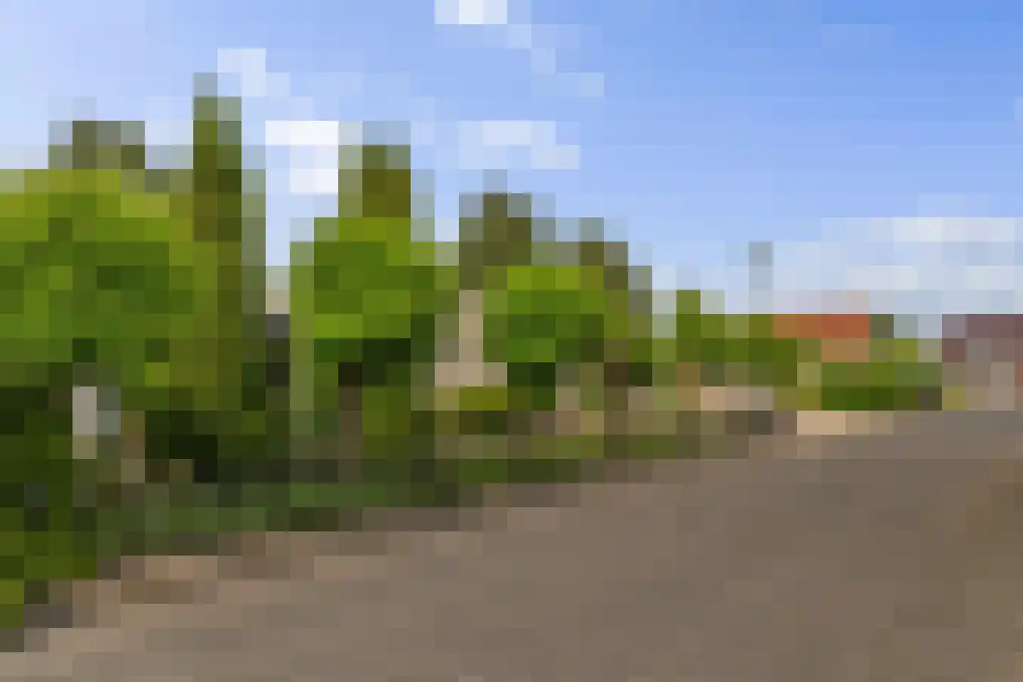 Voorstag 3 Klazienaveen thumbnail 49
