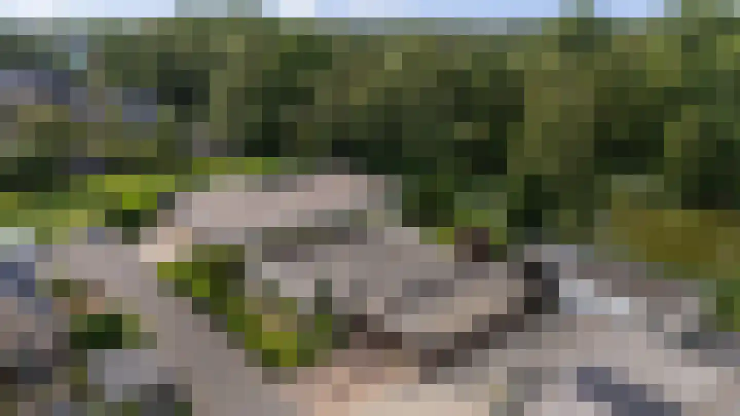 Voorstag 3 Klazienaveen thumbnail 50