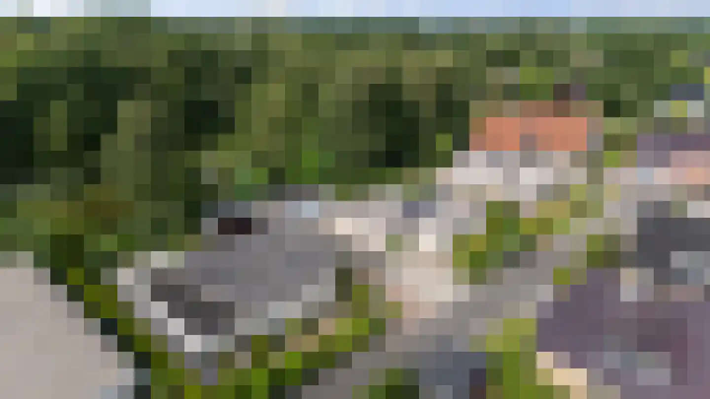 Voorstag 3 Klazienaveen thumbnail 51