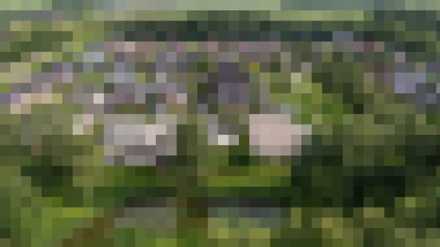 Voorstag 3 Klazienaveen thumbnail 52