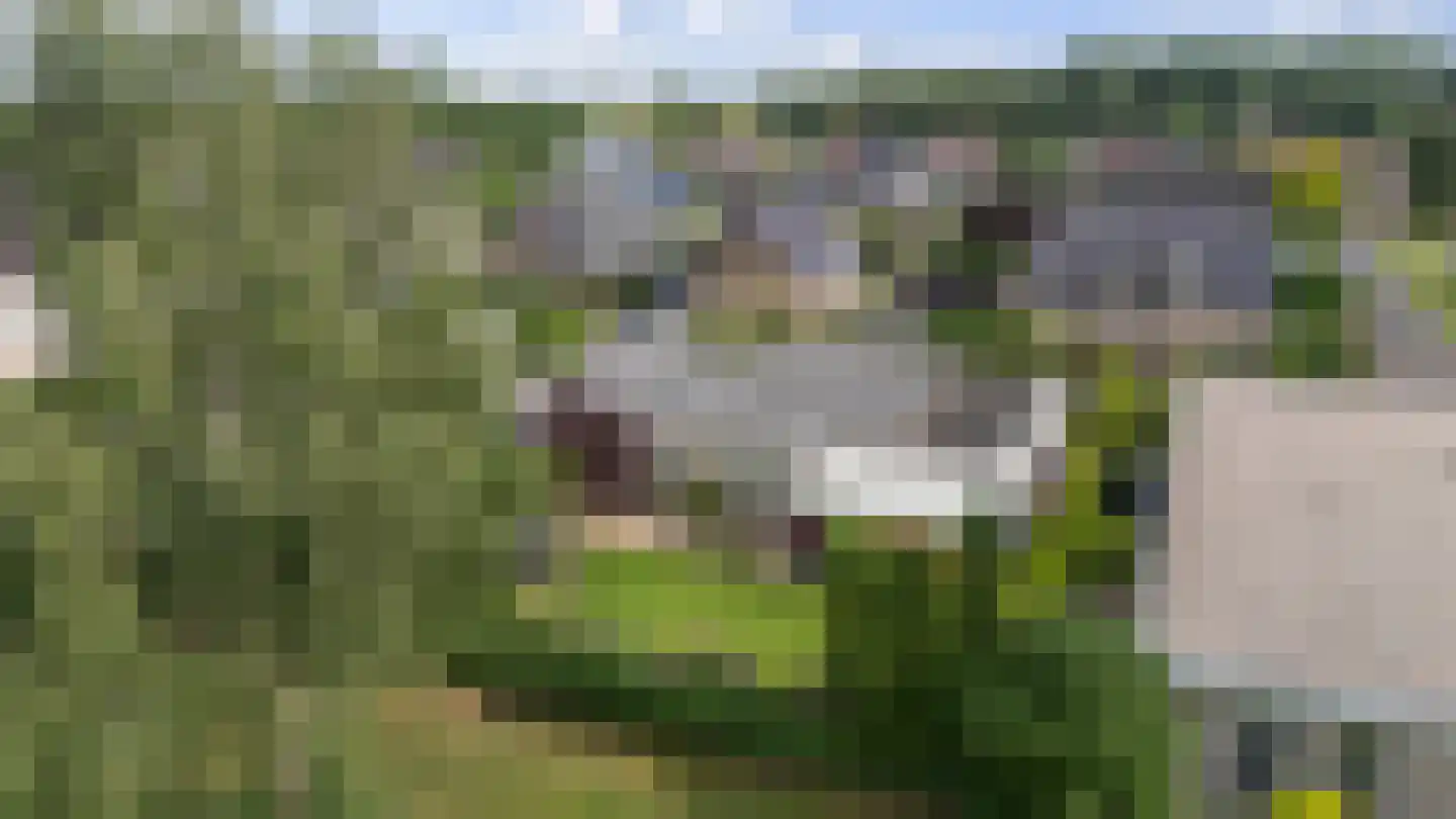 Voorstag 3 Klazienaveen thumbnail 53