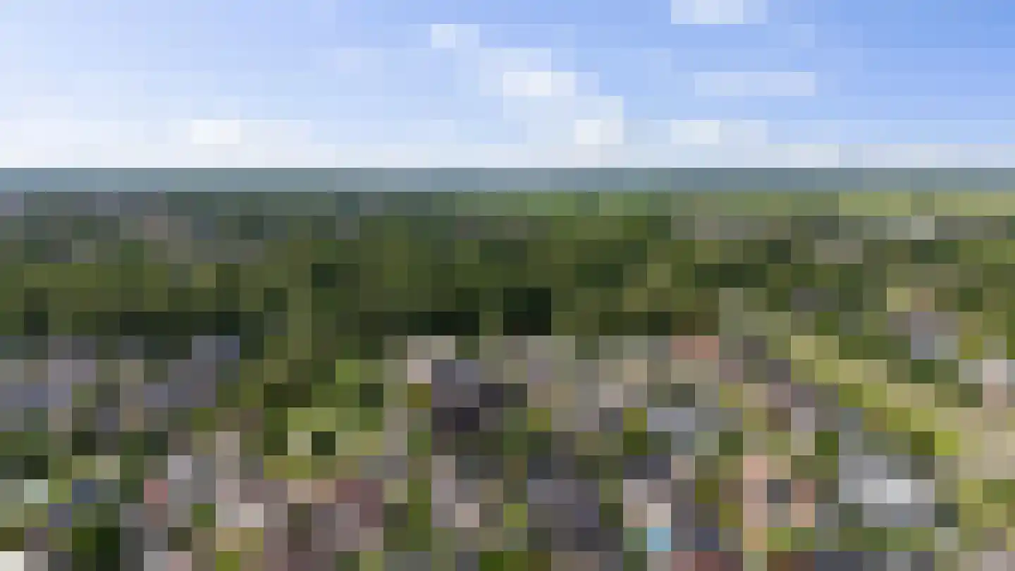Voorstag 3 Klazienaveen thumbnail 54