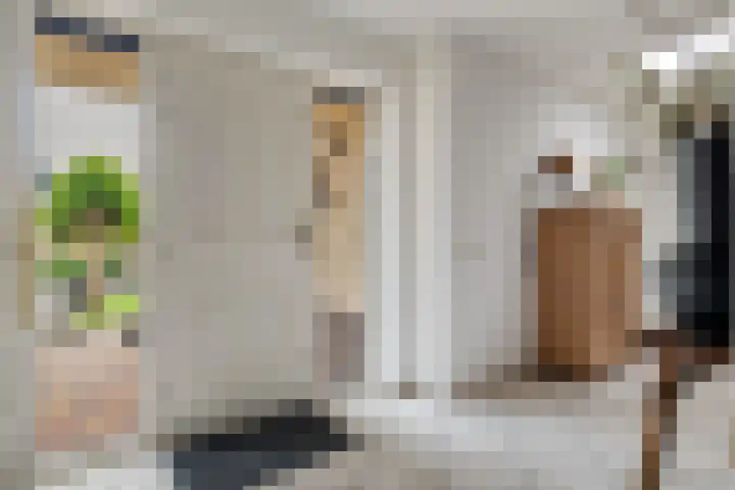 Voorstag 3 Klazienaveen thumbnail 8