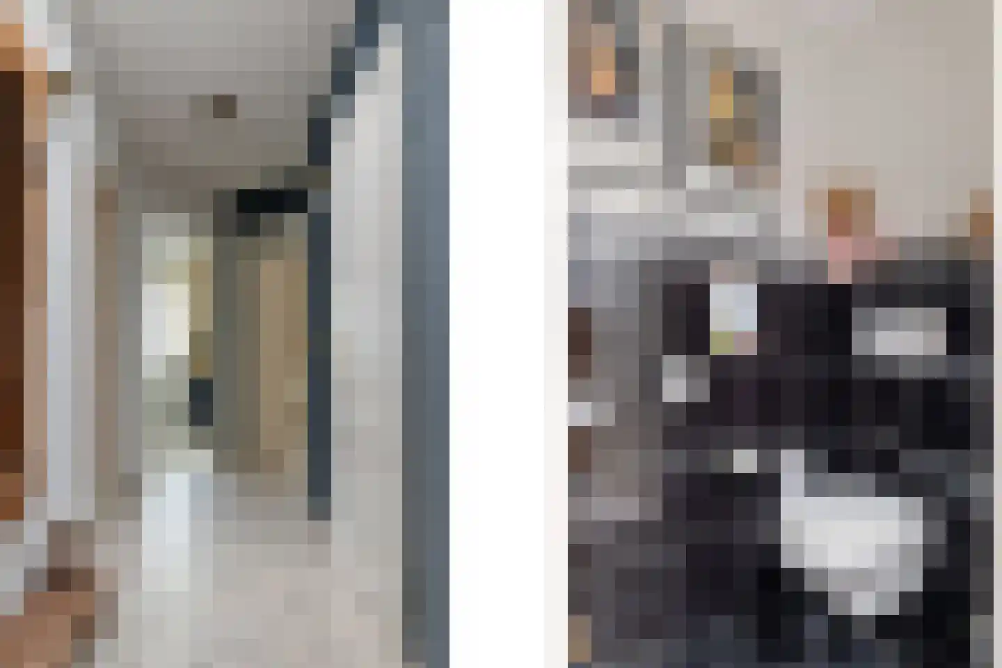 Voorstag 3 Klazienaveen thumbnail 9