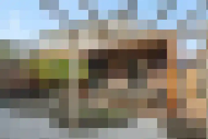 Voorste Akkerweg 13 Helmond thumbnail 35