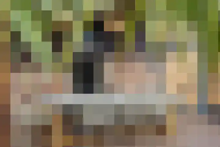 Voorste Akkerweg 13 Helmond thumbnail 37