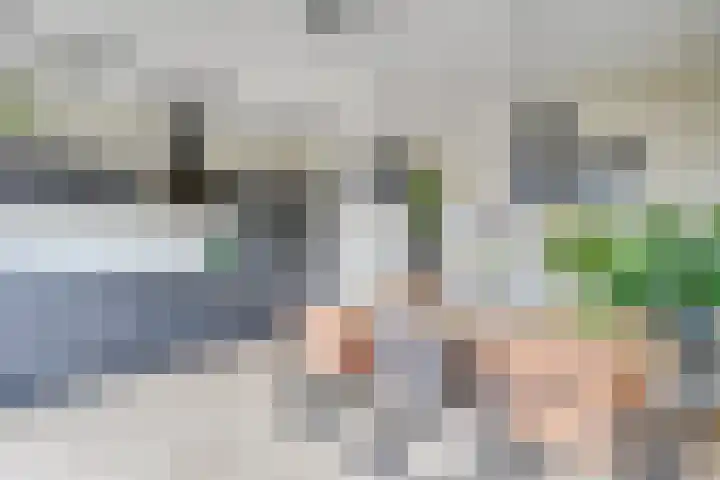 Voorste Akkerweg 17 Helmond thumbnail 18