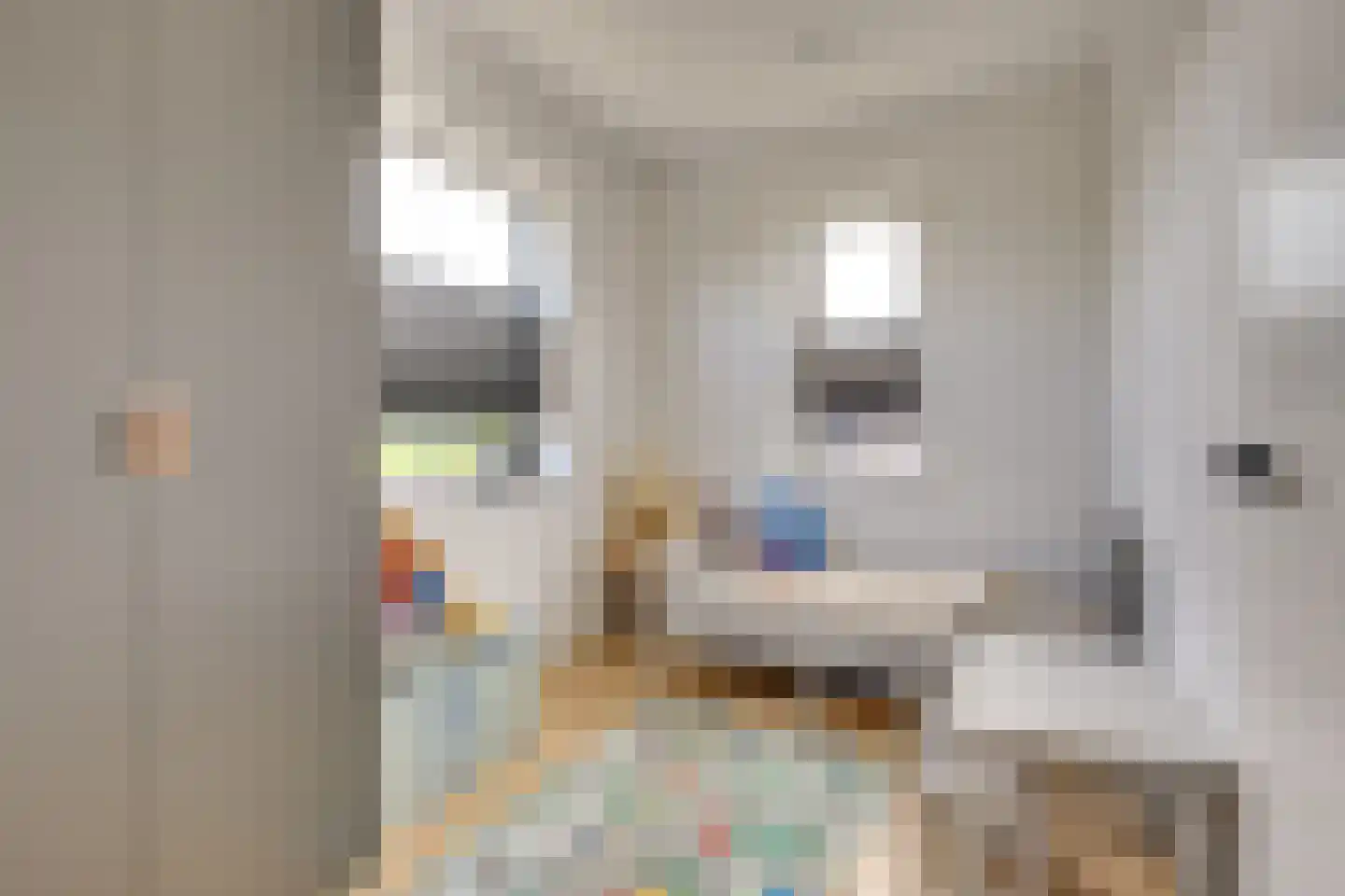 Voorste Akkerweg 3 Helmond thumbnail 30
