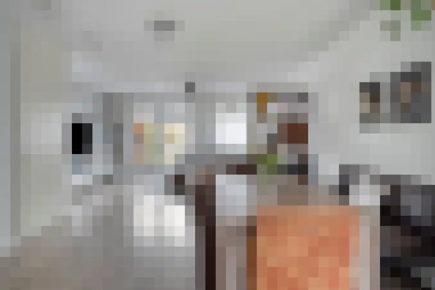 Voorste Akkerweg 6 Helmond thumbnail 13