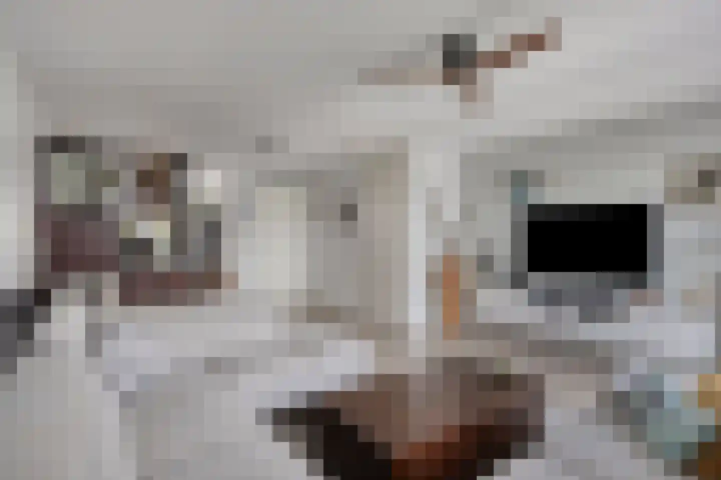 Voorste Akkerweg 6 Helmond thumbnail 4
