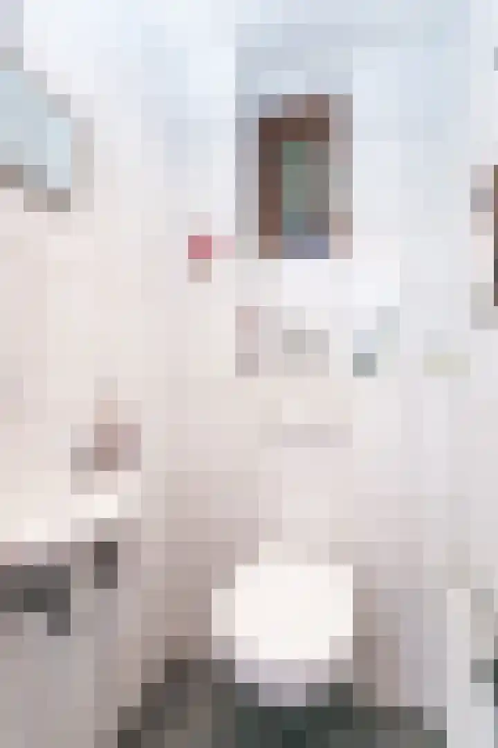 Voorste Bosweg 15 Schinveld thumbnail 14