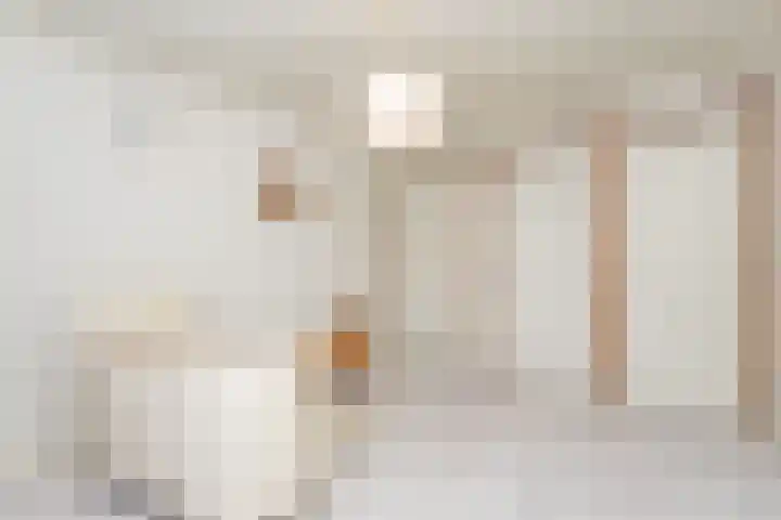 Voorste Bosweg 15 Schinveld thumbnail 26