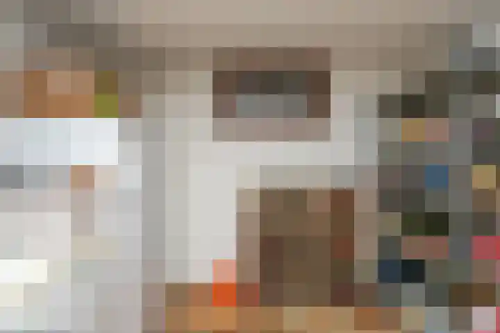 Voorste Bosweg 15 Schinveld thumbnail 29
