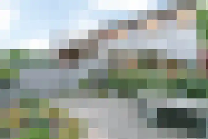 Voorste Bosweg 15 Schinveld thumbnail 31