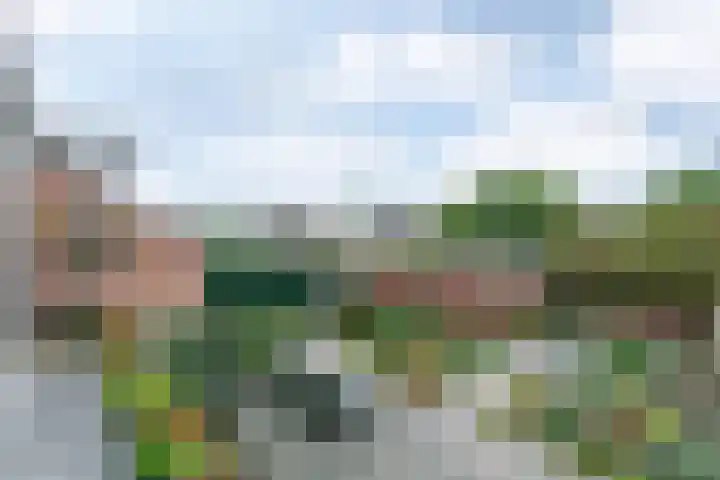 Voorste Bosweg 15 Schinveld thumbnail 32