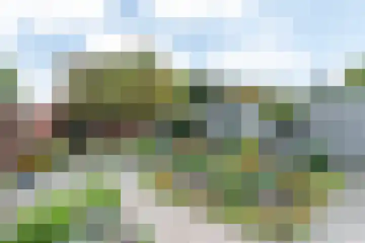 Voorste Bosweg 15 Schinveld thumbnail 37
