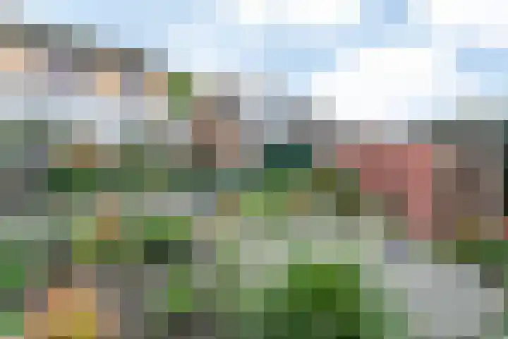 Voorste Bosweg 15 Schinveld thumbnail 38