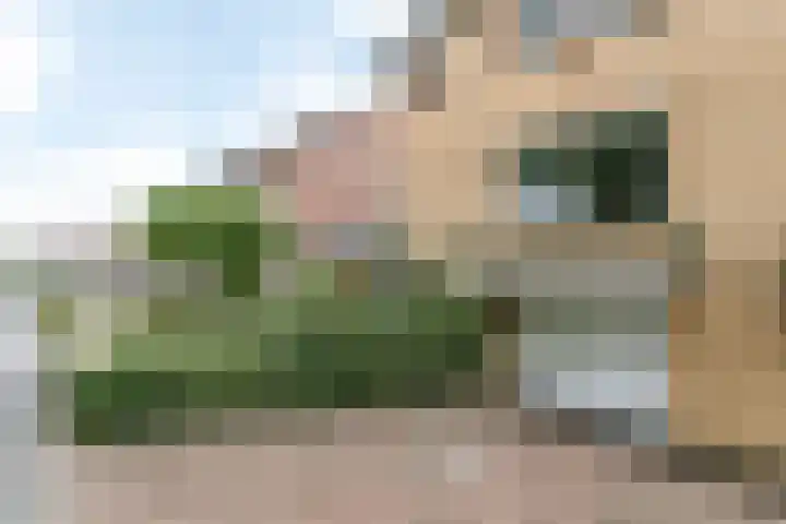 Voorste Bosweg 15 Schinveld thumbnail 39