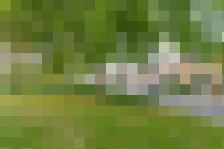 Voorste Bosweg 15 Schinveld thumbnail 43