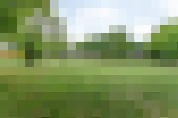 Voorste Bosweg 15 Schinveld thumbnail 44