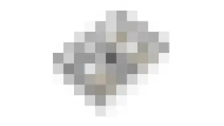 Voorste Bosweg 15 Schinveld thumbnail 47