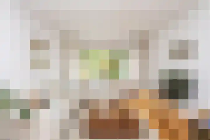 Voorste Bosweg 15 Schinveld thumbnail 5