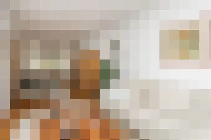 Voorste Bosweg 15 Schinveld thumbnail 7