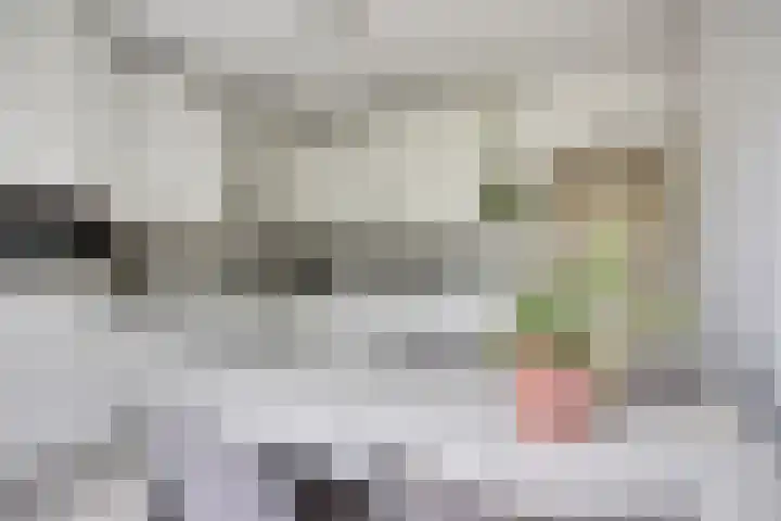 Voorste Heusden 30 Heusden thumbnail 10