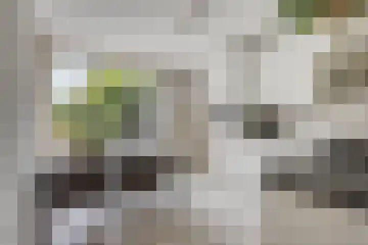 Voorste Heusden 30 Heusden thumbnail 11